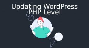Updating Wordpress Php Level